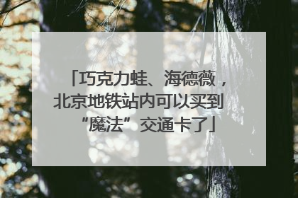 巧克力蛙、海德薇，北京地铁站内可以买到“魔法”交通卡了