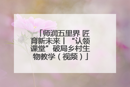 师润五里界 匠育新未来丨“认领课堂”破局乡村生物教学（视频）