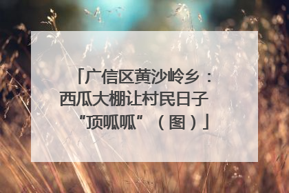 广信区黄沙岭乡：西瓜大棚让村民日子“顶呱呱”（图）