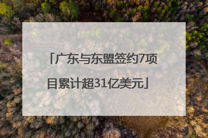 广东与东盟签约7项目累计超31亿美元