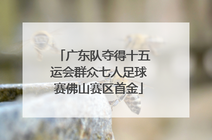 广东队夺得十五运会群众七人足球赛佛山赛区首金
