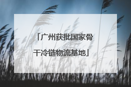 广州获批国家骨干冷链物流基地