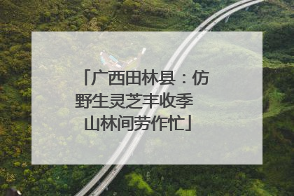 广西田林县：仿野生灵芝丰收季 山林间劳作忙