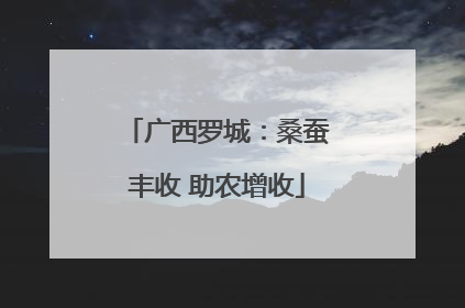 广西罗城：桑蚕丰收 助农增收