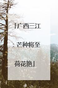 广西三江：芒种将至荷花艳