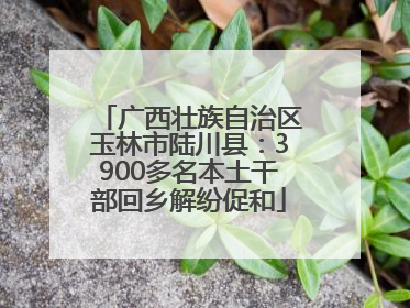 广西壮族自治区玉林市陆川县：3900多名本土干部回乡解纷促和