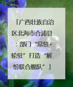 广西壮族自治区北海市合浦县：部门“常驻+轮驻”打造“解纷联合舰队”
