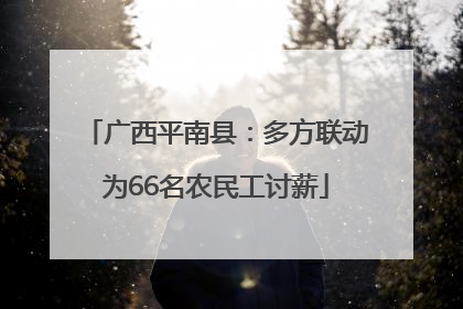 广西平南县：多方联动为66名农民工讨薪