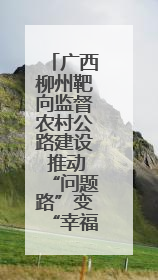广西柳州靶向监督农村公路建设 推动“问题路”变“幸福路”