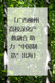 广西柳州高校深化产教融合 助力“中国制造”出海