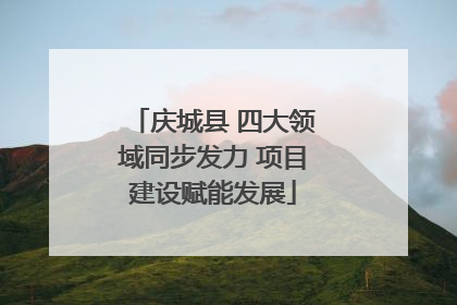 庆城县 四大领域同步发力 项目建设赋能发展