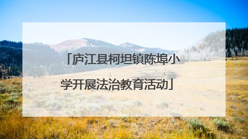 庐江县柯坦镇陈埠小学开展法治教育活动
