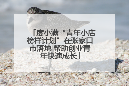度小满“青年小店榜样计划”在张家口市落地 帮助创业青年快速成长