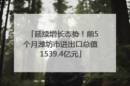 延续增长态势！前5个月潍坊市进出口总值1539.4亿元