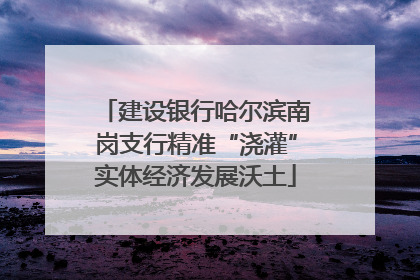 建设银行哈尔滨南岗支行精准“浇灌”实体经济发展沃土