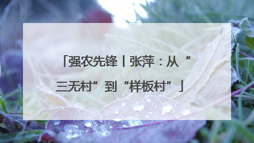 强农先锋丨张萍：从“三无村”到“样板村”