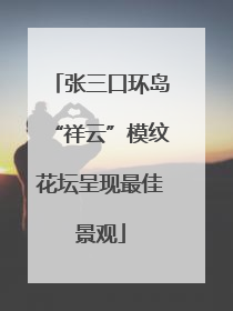 张三口环岛“祥云”模纹花坛呈现最佳景观