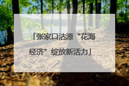 张家口沽源“花海经济”绽放新活力