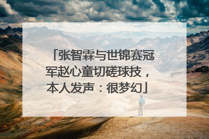 张智霖与世锦赛冠军赵心童切磋球技，本人发声：很梦幻