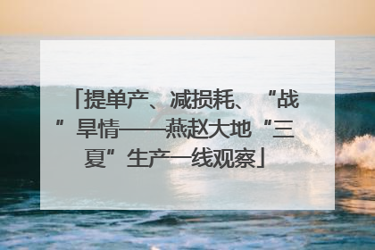 提单产、减损耗、“战”旱情——燕赵大地“三夏”生产一线观察