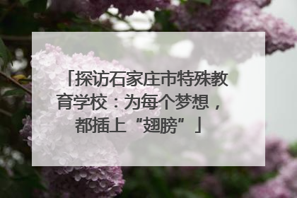 探访石家庄市特殊教育学校：为每个梦想，都插上“翅膀”