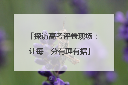 探访高考评卷现场：让每一分有理有据