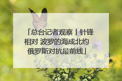 总台记者观察丨针锋相对 波罗的海成北约俄罗斯对抗最前线