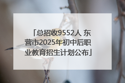 总招收9552人 东营市2025年初中后职业教育招生计划公布