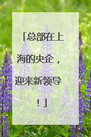 总部在上海的央企，迎来新领导！