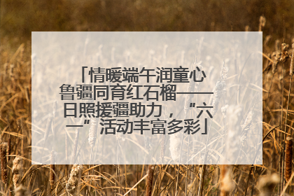 情暖端午润童心 鲁疆同育红石榴——日照援疆助力，“六一”活动丰富多彩