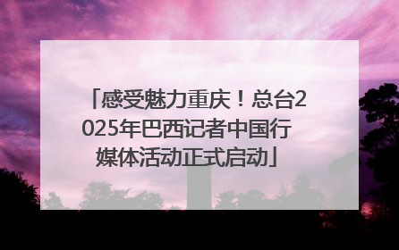 感受魅力重庆！总台2025年巴西记者中国行媒体活动正式启动