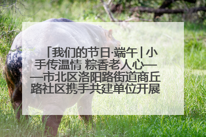 我们的节日·端午│小手传温情 粽香老人心——市北区洛阳路街道商丘路社区携手共建单位开展端午主题活动