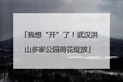 我想“开”了！武汉洪山多家公园荷花绽放