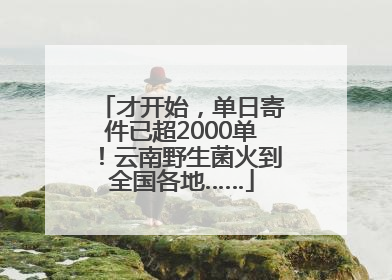 才开始，单日寄件已超2000单！云南野生菌火到全国各地……