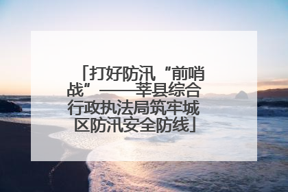 打好防汛“前哨战”——莘县综合行政执法局筑牢城区防汛安全防线