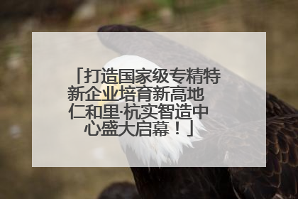打造国家级专精特新企业培育新高地 仁和里·杭实智造中心盛大启幕！