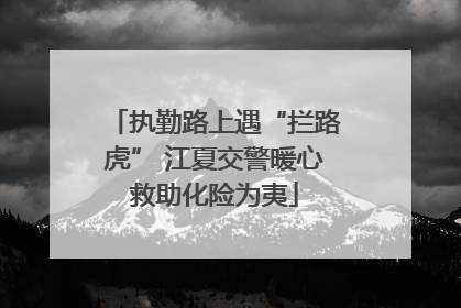 执勤路上遇“拦路虎” 江夏交警暖心救助化险为夷