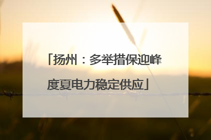扬州：多举措保迎峰度夏电力稳定供应