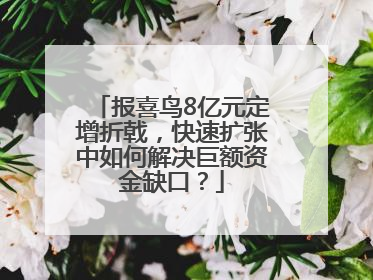 报喜鸟8亿元定增折戟，快速扩张中如何解决巨额资金缺口？