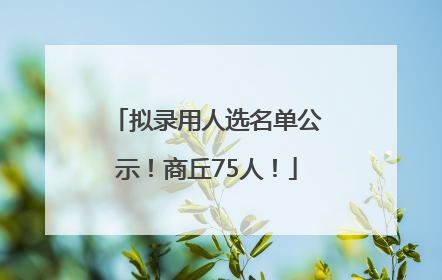 拟录用人选名单公示！商丘75人！