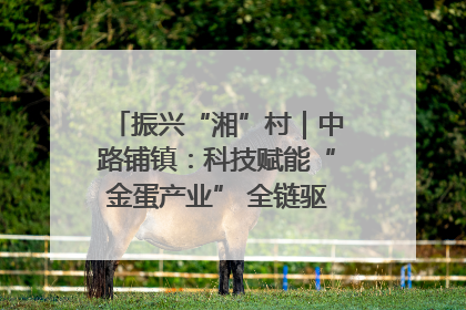 振兴“湘”村｜中路铺镇：科技赋能“金蛋产业” 全链驱动乡村振兴