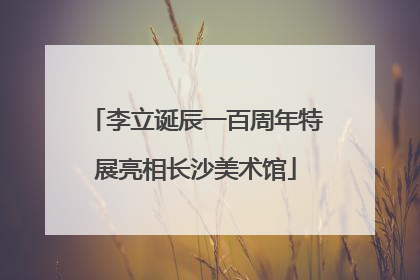 李立诞辰一百周年特展亮相长沙美术馆