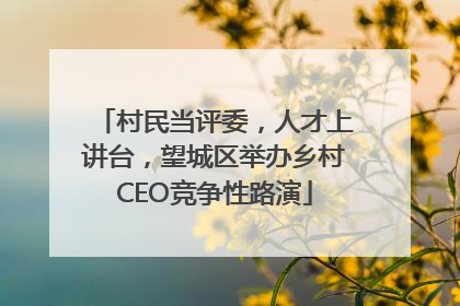 村民当评委，人才上讲台，望城区举办乡村CEO竞争性路演