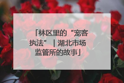 林区里的“宠客执法”｜湖北市场监管所的故事