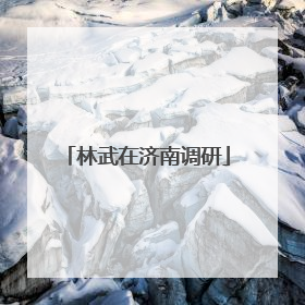林武在济南调研