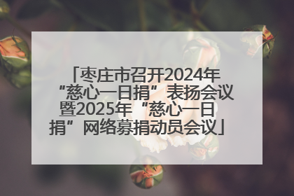 枣庄市召开2024年“慈心一日捐”表扬会议暨2025年“慈心一日捐”网络募捐动员会议