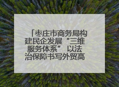 枣庄市商务局构建民企发展“三维服务体系” 以法治保障书写外贸高质量答卷