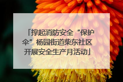 撑起消防安全“保护伞”杨园街道柴东社区开展安全生产月活动