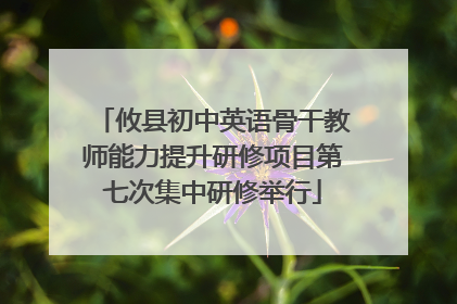 攸县初中英语骨干教师能力提升研修项目第七次集中研修举行