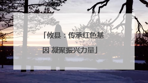 攸县：传承红色基因 凝聚振兴力量